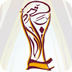 卡塔尔世界杯