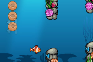 ǰ���Ĵ�����