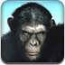 黑猩猩找字母