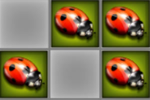 һ��������