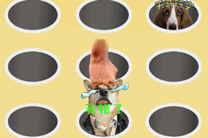 �����Ʒ��