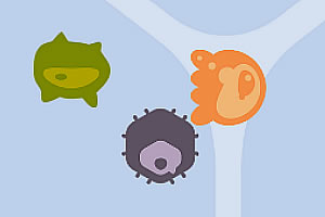 ��ս����