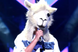 �����Ҳ�