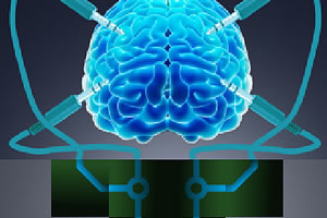 ���Գ���