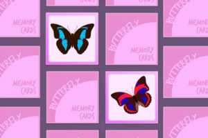 �������俨��