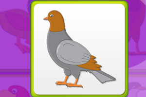 ��ͯ���䷭���������