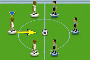 ָ������