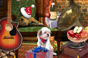 �����������Ʒ