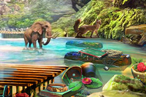 ���ֶ����Ԯ