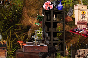 ����ʿ�ı���