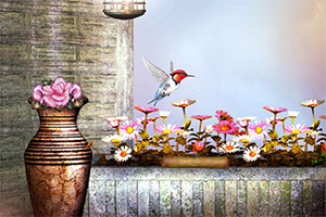 �������ܵĻ�԰