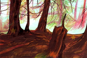 �ž�ɭ��������