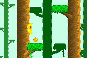 ���������㽶