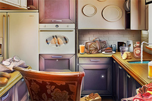 ʳ������