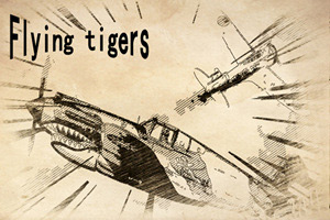 ���зɻ�ս��