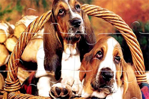 ���ȹ���ƴͼ