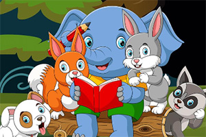 �ɰ�������俨