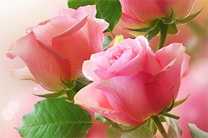 ��ɫõ��ƴͼ