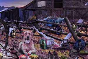 �������ټ�