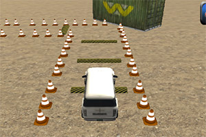 ���ճ�ͣ������