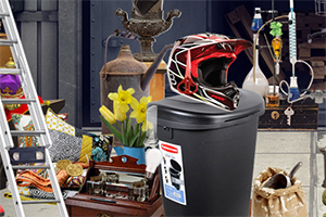 �������Ա