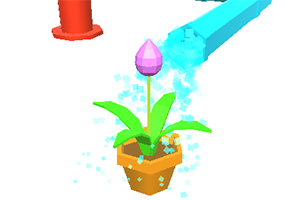 ��������ˮ