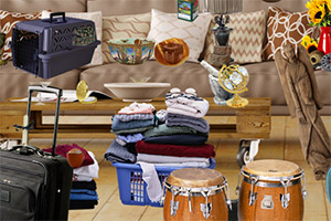 ���Ƶ��ھ�