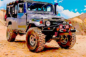 �ձ�ԽҰ��ƴͼ