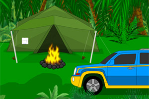 �������ַ