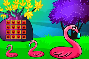 ��Ⱦ�����