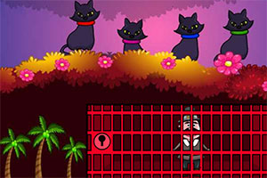 ����ɭ������