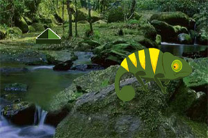 ��Ԯ����ţ