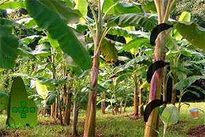 �������Ӵ�����