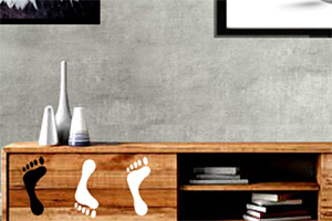 �������չ����