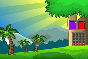 ������������