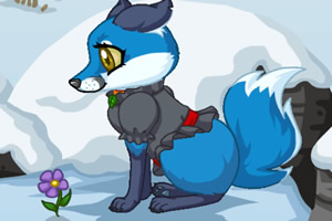 �ɰ�����