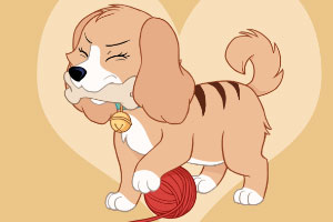 װ��ɰ�è��