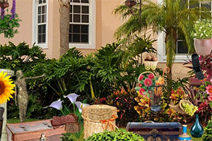 ��������