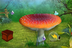 �����ȸ�������