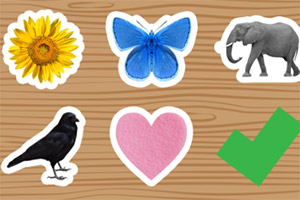 ��ȷ��ɫ��