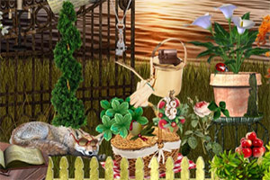 �ص���������