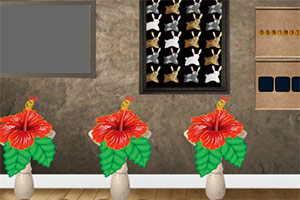 ��Ԯ�ϰ��С��