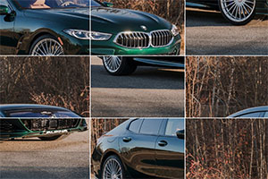 ��������ƴͼ