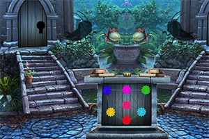 ǿ����������ӥ