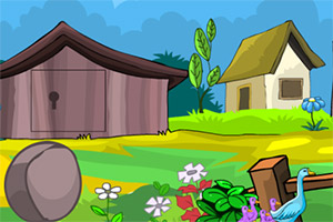 ��ԮСѼ��һ��5