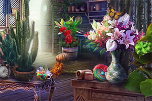 ��ɼ����