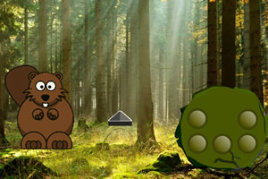 �뿪������Ϣ��