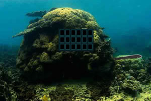 �ҵ����صĶ���