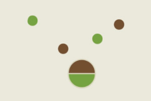 ��ס�̺���