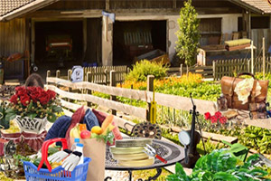 �游��ũ��